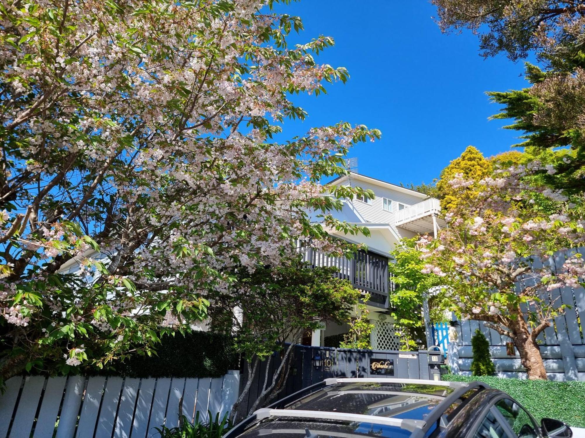 Apartamento Entire Ground Floor With Full-privacy And Family-friendly Popular To Ferry Catchers Wellington